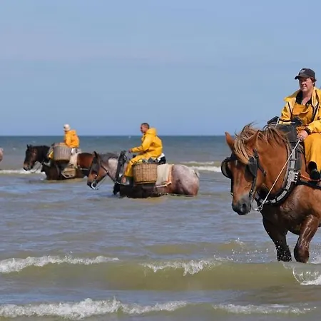 1 Twenty One Vue Imprenable Sur La *