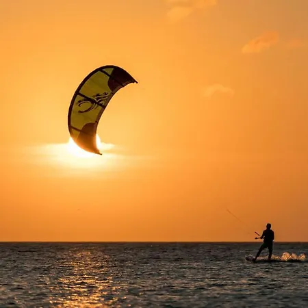 1 Twenty One Vue Imprenable Sur La * Koksijde